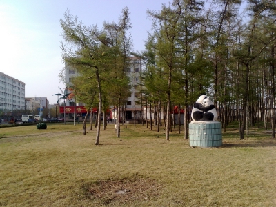 200905051169.jpg